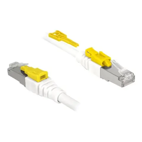 Delock Cable RJ45 Secure Cat.6A 2 m – afbeelding 1