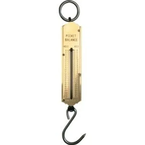 Hesse Taschenfederwaage 50 kg – Bild 1