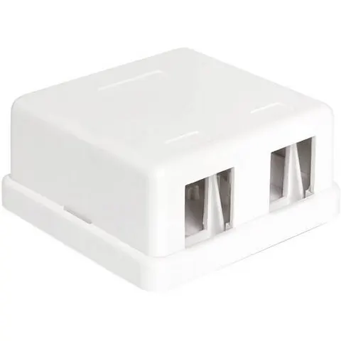 DELOCK 86207 - Delock keystone 2-port empty enclosure – image 1