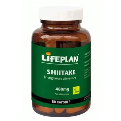 Shiitake 6Cps – immagine 1