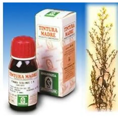 specchiasol Verga oro 26 50ml tm – immagine 1
