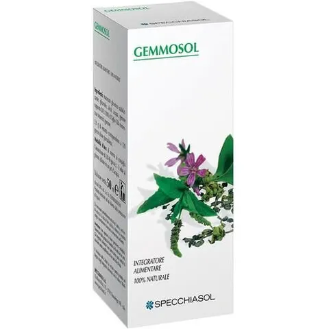 Specchiasol Ribes Nero Gemme 100ml – immagine 1