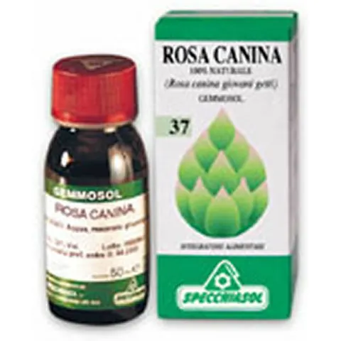 Specchiasol Rosa Canina 1 Dh Gemme 50ml – immagine 1