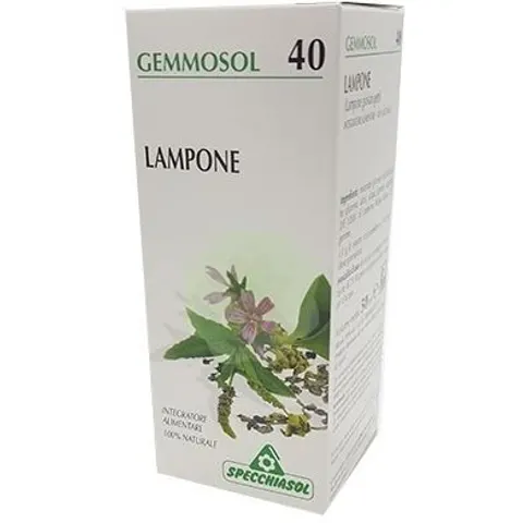 Specchiasol Lampone 1 Dh Gemme 50ml – immagine 1