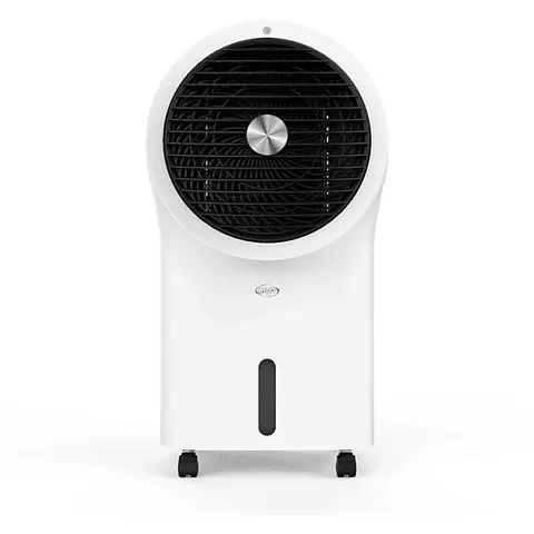 Argo Polifemo Zeus-bianco – immagine 1
