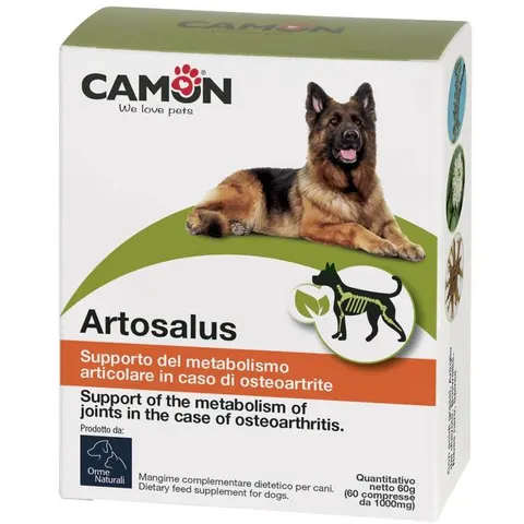artosalus 60 CPR – immagine 1