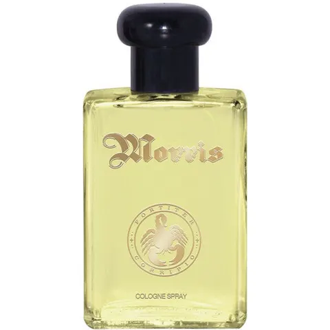 Morris Men's Cologne 100 ML – immagine 1