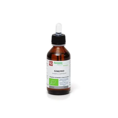 Estratto Glicerico di Ginepro 100ml – immagine 1