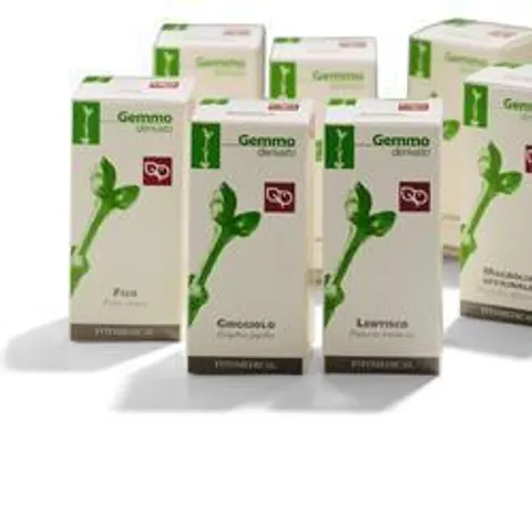 FITOMEDICAL Srl CISTO GD 50ML – immagine 1