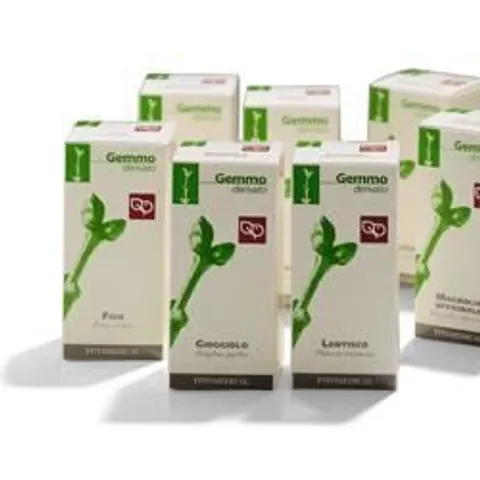 Fitomedical Agnocasto 100 ml Mg – immagine 1