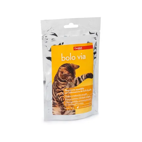candioli Bolo Via Sacchetto 40 Gr – immagine 1