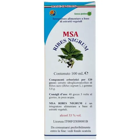 herboplanet Msa ribes nigrum 100 ml – immagine 1