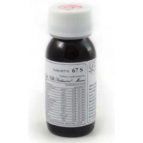labor villa stoddard srl Lvs 67s echinacea purp.comp. – immagine 1