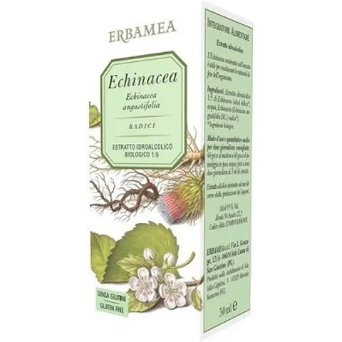 ERBAMEA Srl ECHINACEA ANGUSTIFOLIA 50M ERBAM – immagine 1