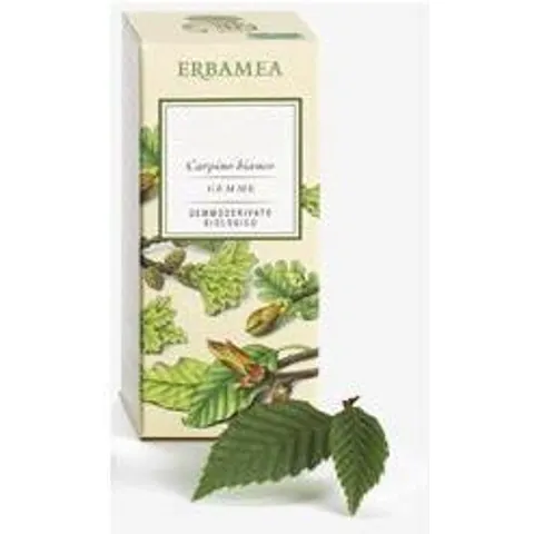 Ficus Carica Gemme Erbamea – immagine 1