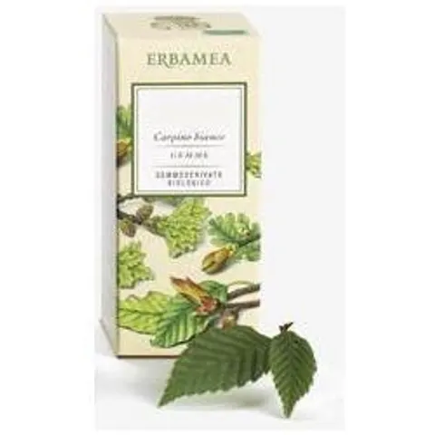 BIO + Ribes Nigrum Gemme Gemmoderivato Bio 50 Ml – immagine 1