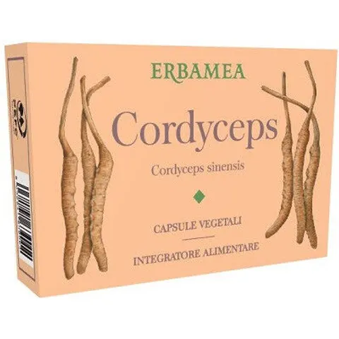 Erbamea Cordyceps 24 Capsule – immagine 1