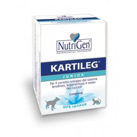 Kartileg J 60 Tavolette – immagine 1