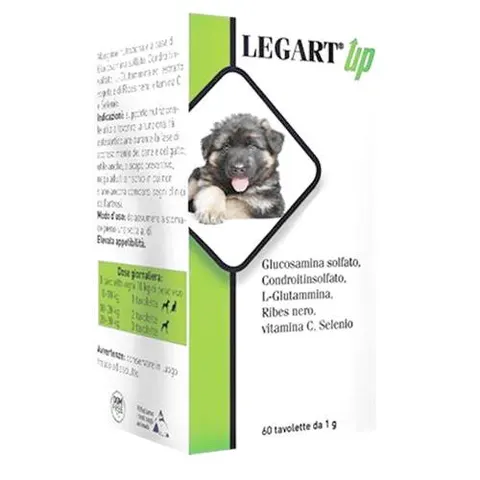 Aurora Legart Up 120 Compresse – immagine 1