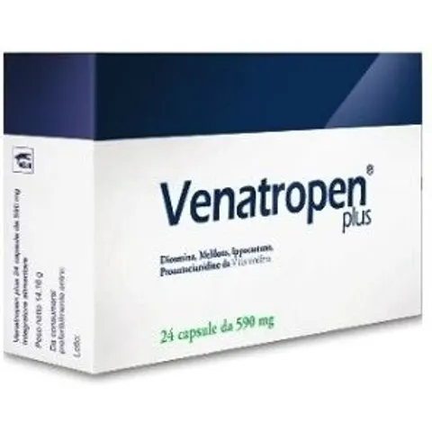 Aurora Biofarma Venatropen Plus 24 Cps – immagine 1