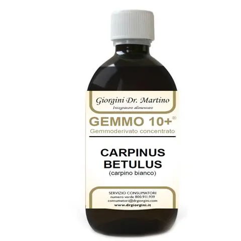 giorgini Carpino gemmo 10+ analc.500ml – immagine 1