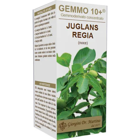 Giorgini Noce 100 ml Analco Gemmo 10+ – immagine 1
