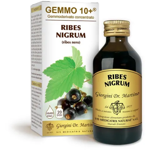 giorgini Ribes nero gemme 10+100ml gmg – immagine 1