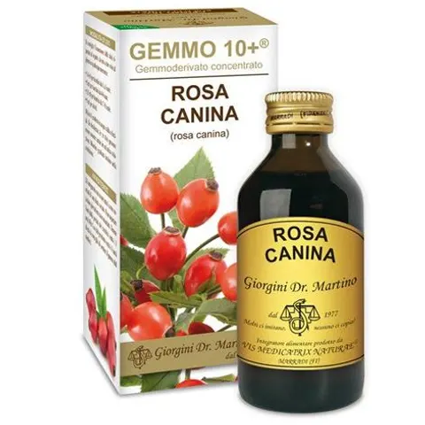 Dr. Giorgini Rosa Canina Gemmo 10+ 100 ml – immagine 1