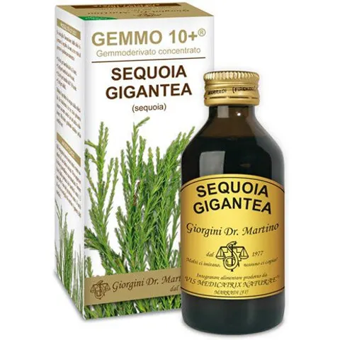 Giorgini Sequoia 100 ml Analco Gemmo 10+ – immagine 1