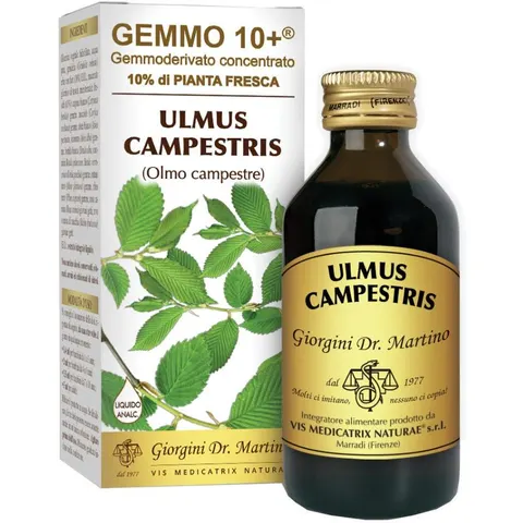 giorgini Olmo camp 100ml analc.gemme10+ – immagine 1