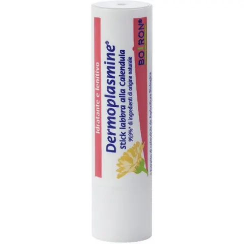 Boiron Dermoplasmine Stick Labbra Cal – immagine 1