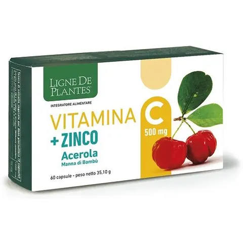 Vitamina C 500mg con Zinco, Acido Ascorbico e Biotina - 60 Capsule – immagine 1