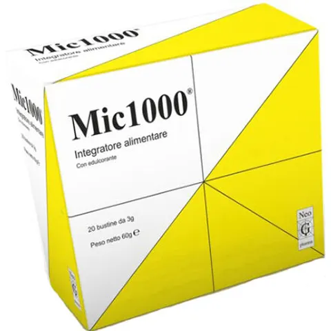 Mic 1 2Bust – immagine 1
