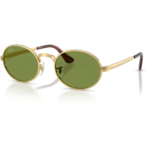 Occhiali da Sole Ray-Ban RB 3931 (001/4E) – immagine 1