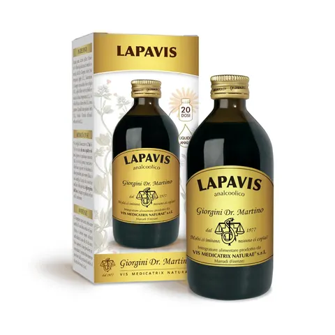 Giorgini Lapavis Liquido Analcolico 500 ml – immagine 1