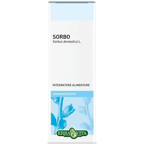 Erba Vita - Gemmoderivato sorbo 50 ml – immagine 1
