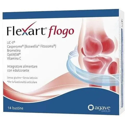 Agave Flexart Flogo 14 Bustine – 640066 – immagine 1