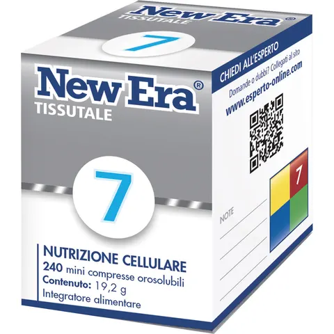 Named New Era 7 240 gr – immagine 1