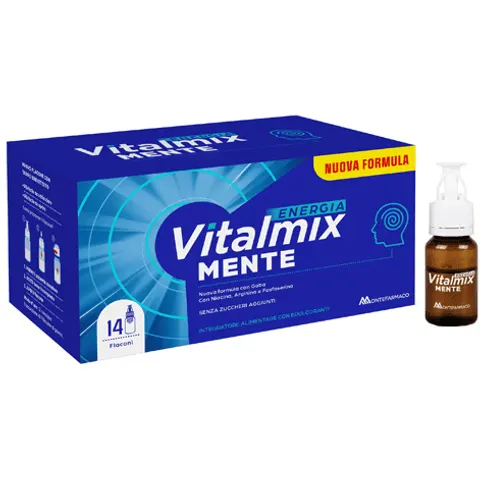 Vitalmix Mente 14Fl – immagine 1