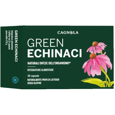 DOTT.C.CAGNOLA Srl GREEN ECHINACI 36CPS – immagine 1
