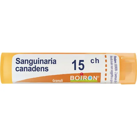 Boiron Sanguinaria Canadensis 15 Ch – immagine 1