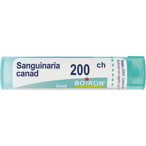 Sanguinaria Canadensis 200ch Boiron – immagine 1