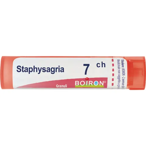 Boiron StaphysaGria 7 Ch 80 Gr 4 G – immagine 1
