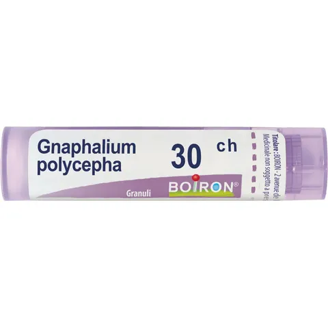 Gnaphalium Polycephalum 30ch Boiron – immagine 1