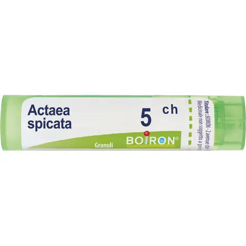 BOIRON Srl ACTAEA SPICATA 5CH 80GR 4g – immagine 1