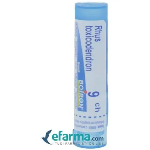 Boiron Rhus Toxicodendron 9CH 80 gr 4 g – immagine 1