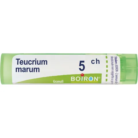 Boiron Teucrium Marum 5 Ch 80 Gr 4 G – immagine 1