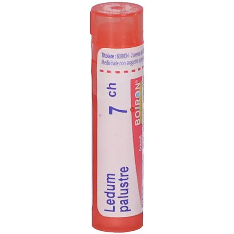 boiron Ledum Palustre Granuli 7Ch 80 Granuli – immagine 1