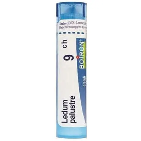 boiron Ledum Palustre 9CH Granuli 4g – immagine 1