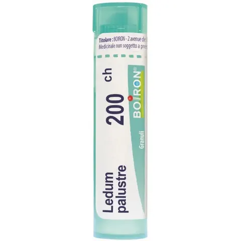 boiron Ledum palustre boi 200ch80gr4g – immagine 1
